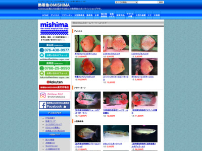 熱帯魚のmishima - ディスカス・フラワーホーンなどの熱帯魚とアクリル水槽の通販サイトです